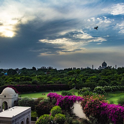 Beautiful gardens at the Oberoi Amarvilas